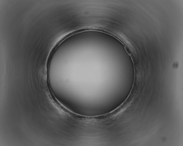 X0000094420940200711211407