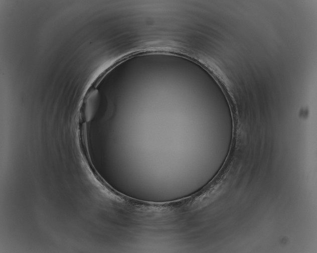 X0000094420941200711211407
