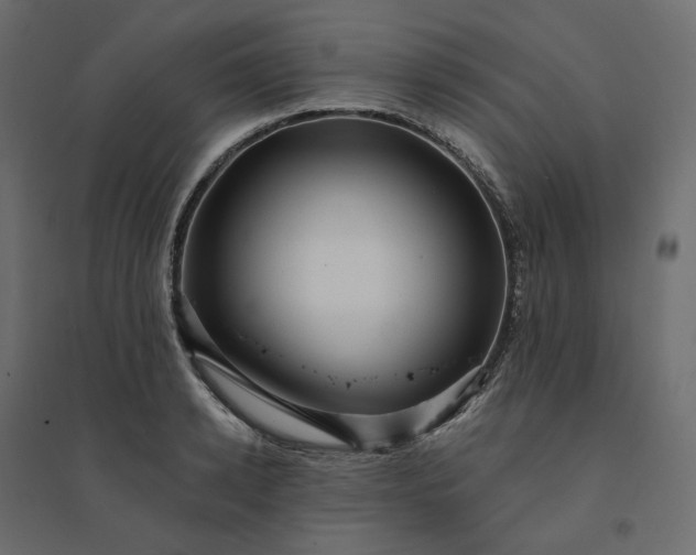 X0000094420942200711211407
