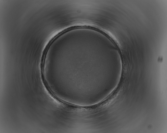X0000094420943200711211407