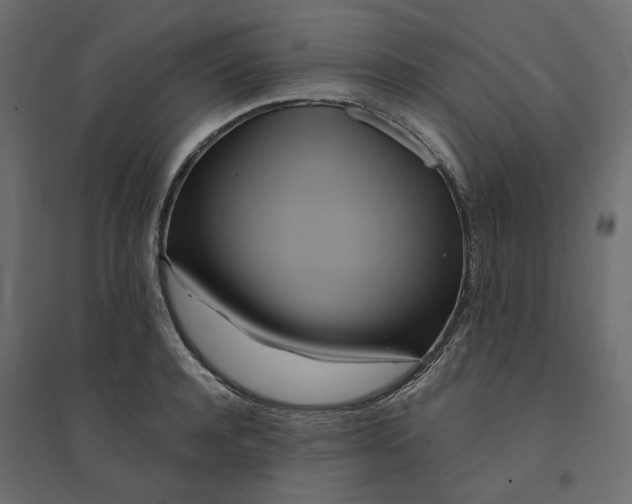 X0000094420944200711211407