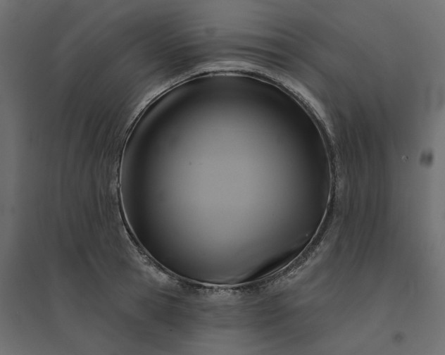 X0000094420945200711211407
