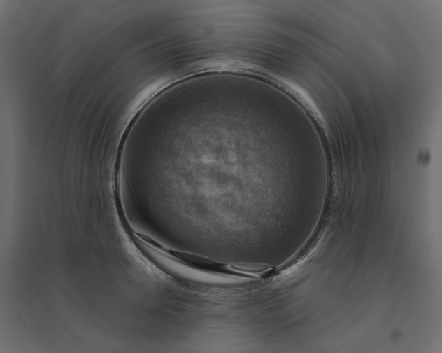 X0000094420946200711211407
