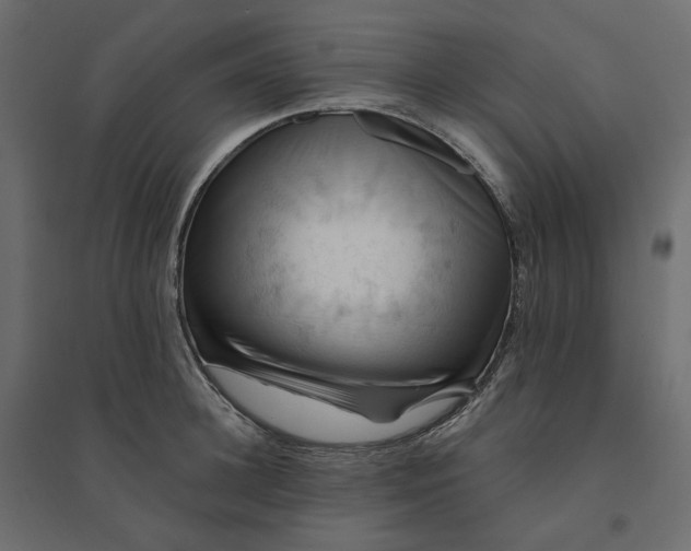 X0000094420948200711211407