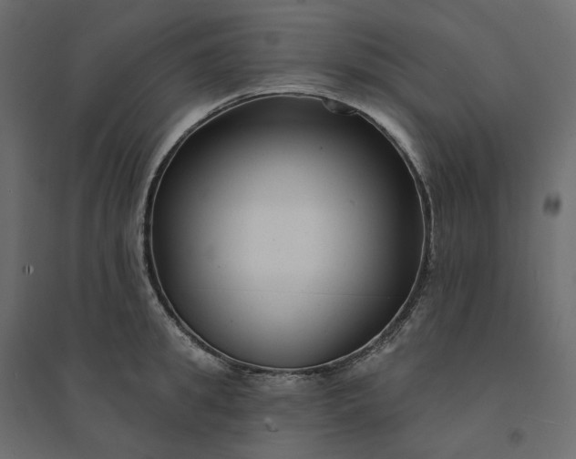 X0000094420949200711211407