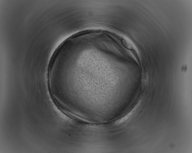 X0000094420951200711211407