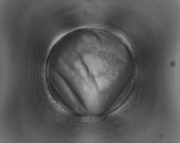 X0000094420952200711211407