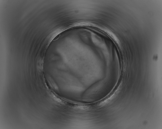 X0000094420953200711211407