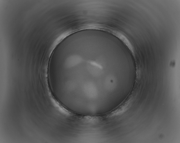 X0000094420954200711211407