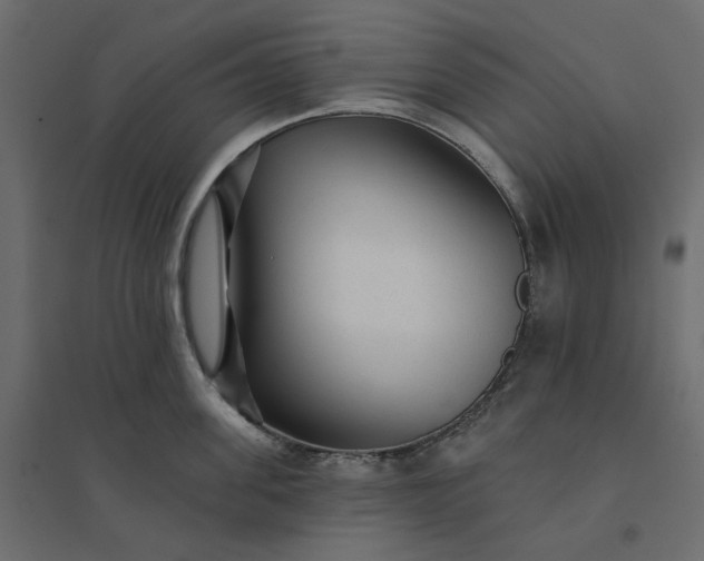X0000094420955200711211407