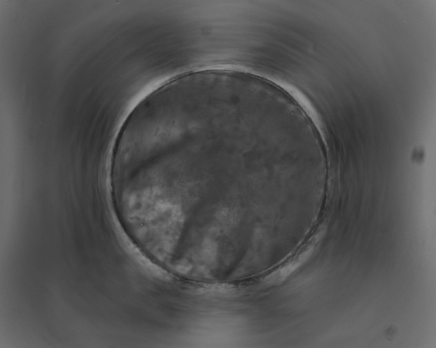 X0000094420957200711211407
