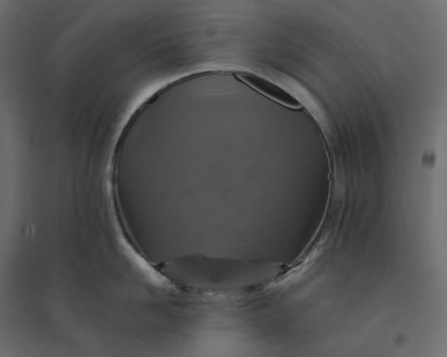 X0000094420958200711211407