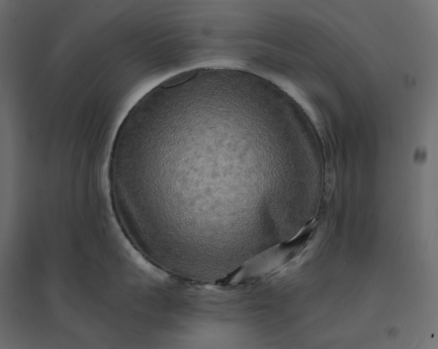 X0000094420959200711211407