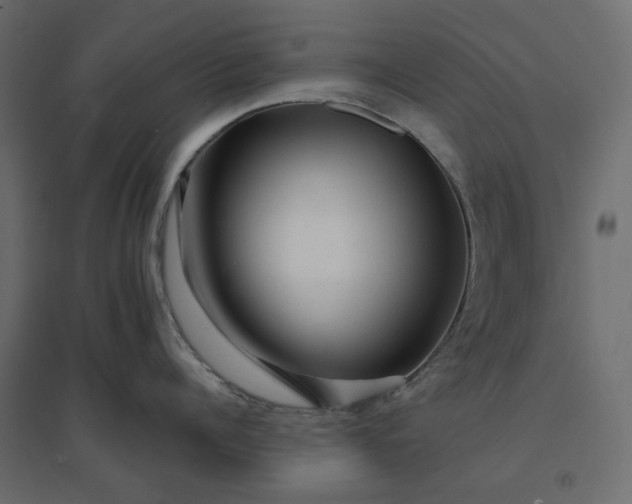 X0000094420960200711211407