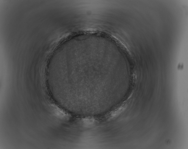 X0000094420961200711211407
