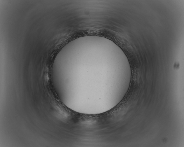 X0000094420962200711211407