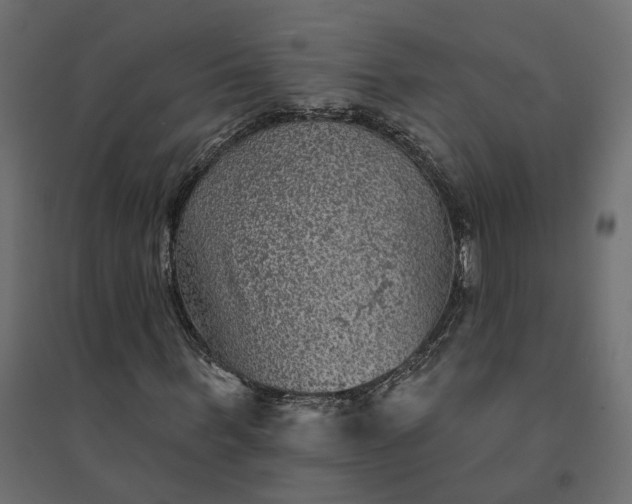 X0000094420963200711211407