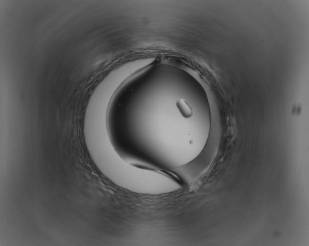 X0000094420965200711211407