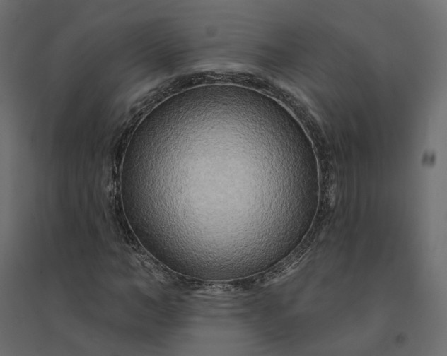 X0000094420966200711211407