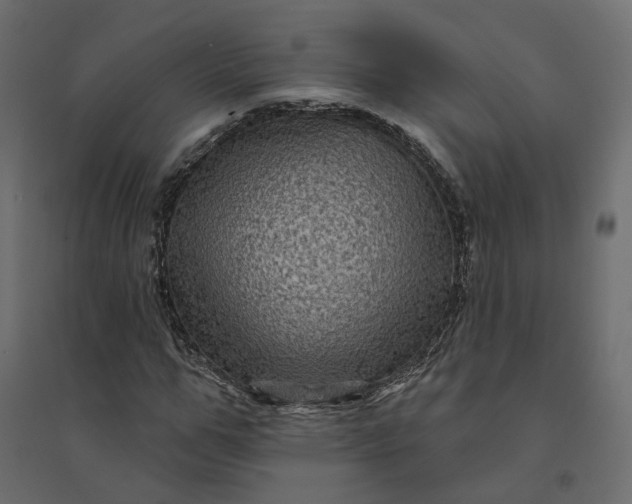 X0000094420967200711211407