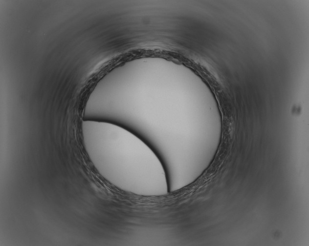 X0000094420968200711211407
