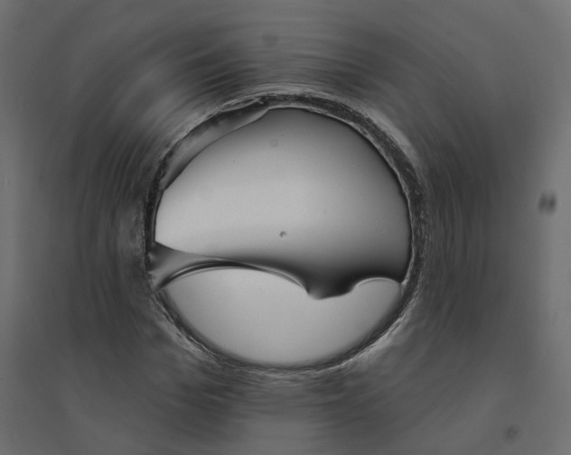 X0000094420969200711211407