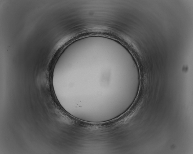 X0000094420970200711211407
