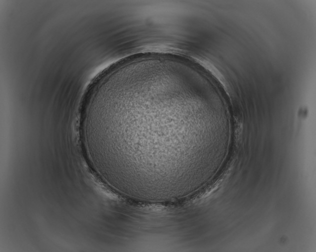 X0000094420971200711211407