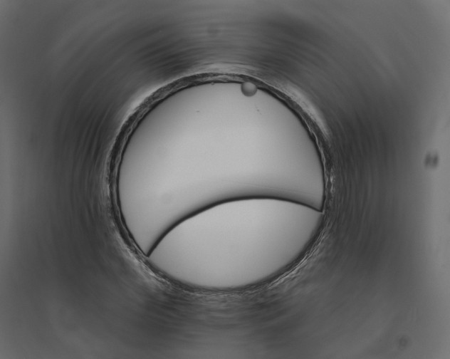 X0000094420972200711211407