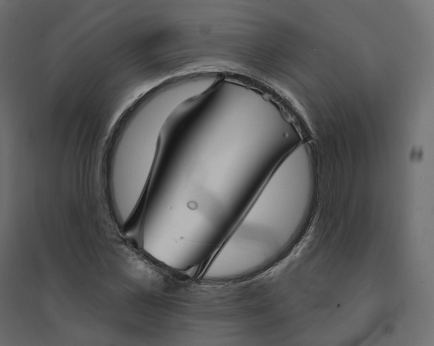 X0000094420973200711211407