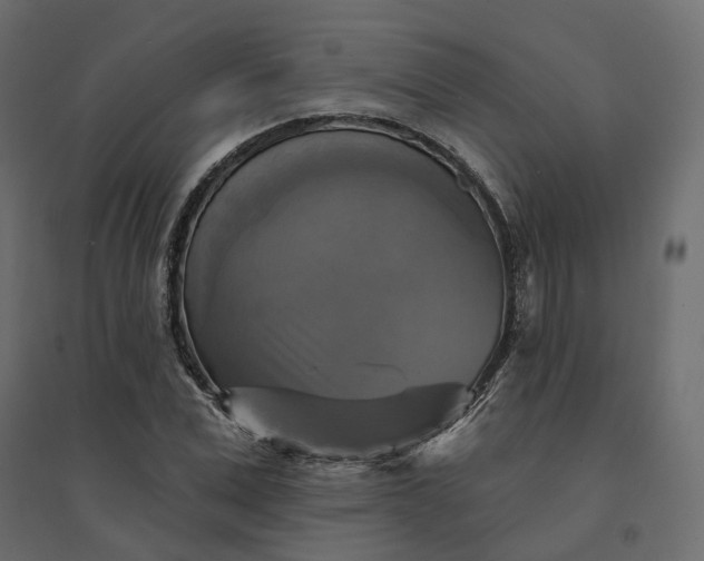 X0000094420975200711211407