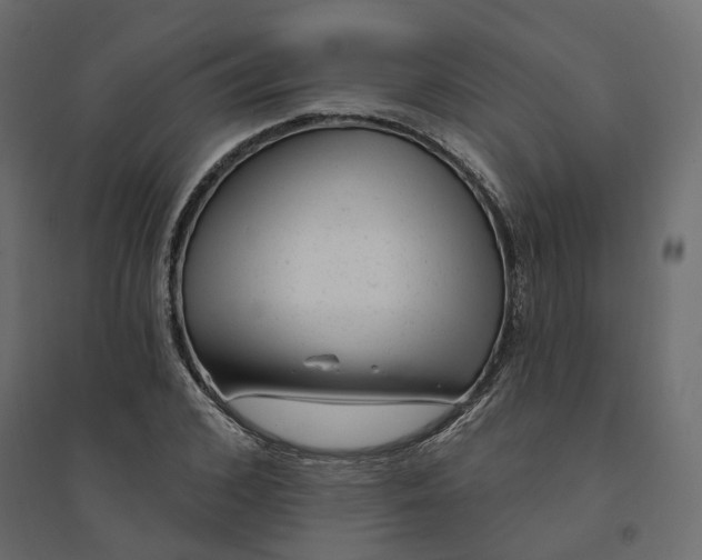 X0000094420976200711211407