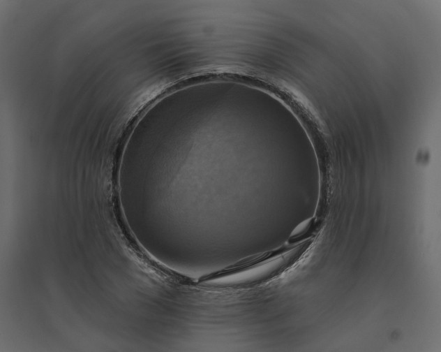 X0000094420977200711211407