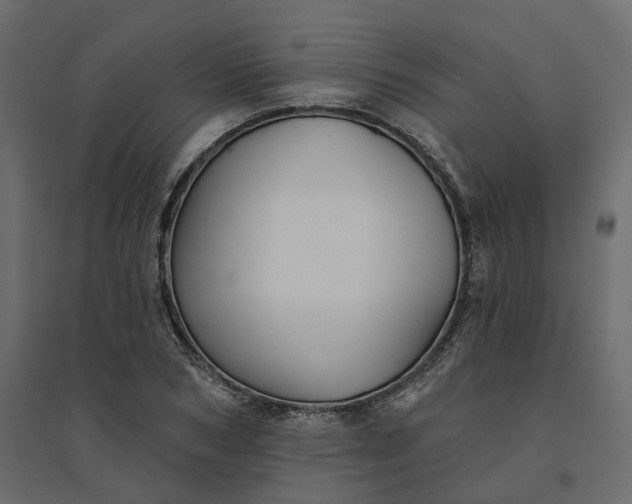 X0000094420978200711211407