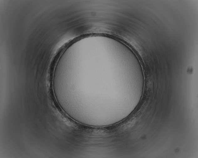 X0000094420979200711211406