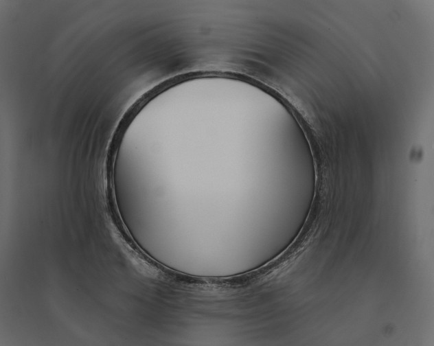 X0000094420980200711211406