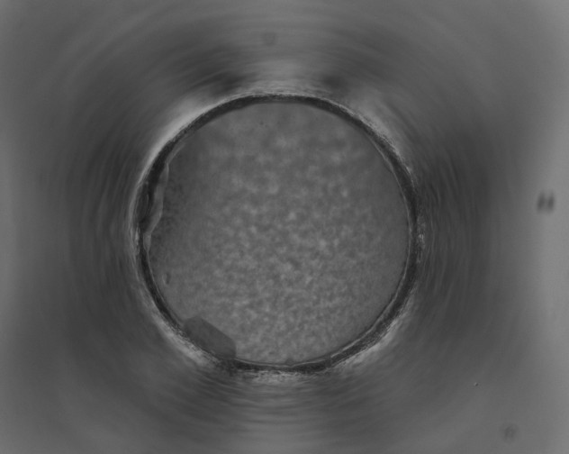 X0000094420981200711211406