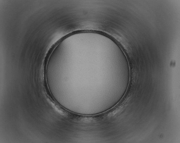 X0000094420982200711211406