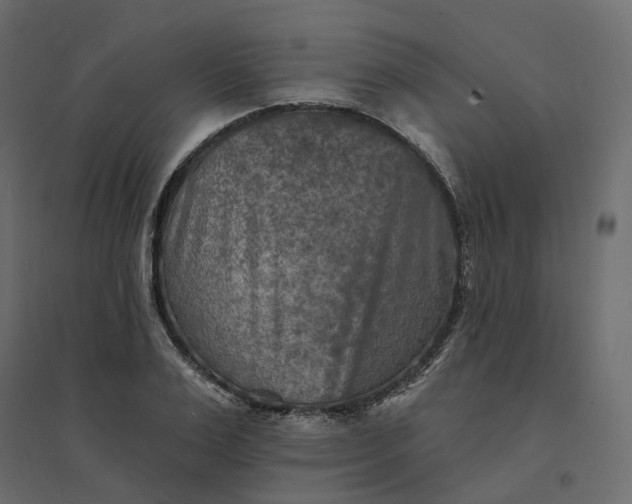 X0000094420983200711211406