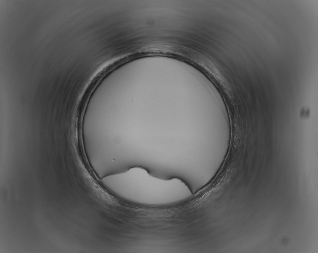 X0000094420984200711211406