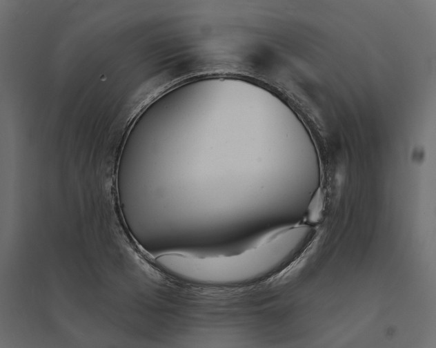 X0000094420985200711211406