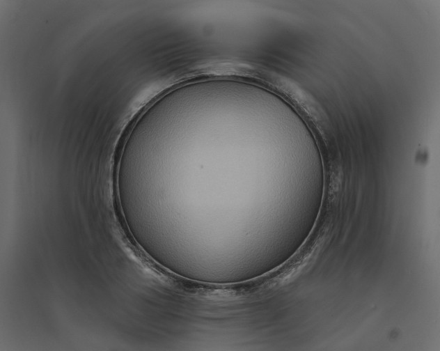 X0000094420986200711211406