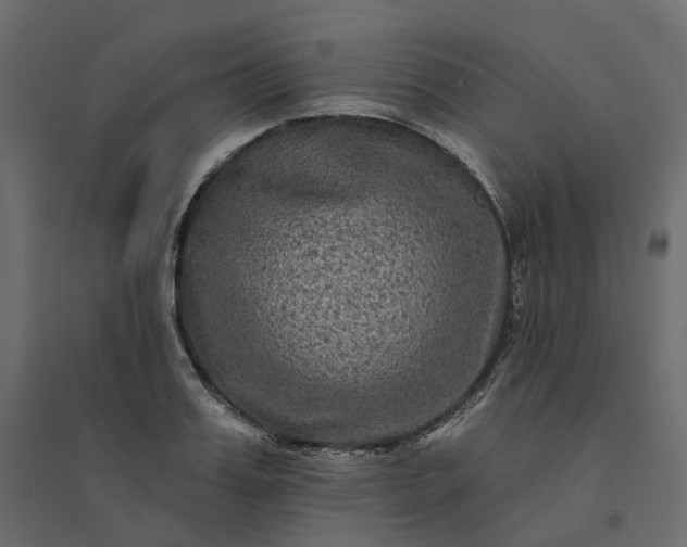 X0000094420987200711211406