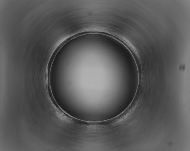 X0000094420988200711211406