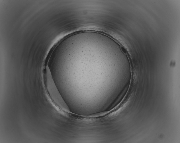 X0000094420989200711211406