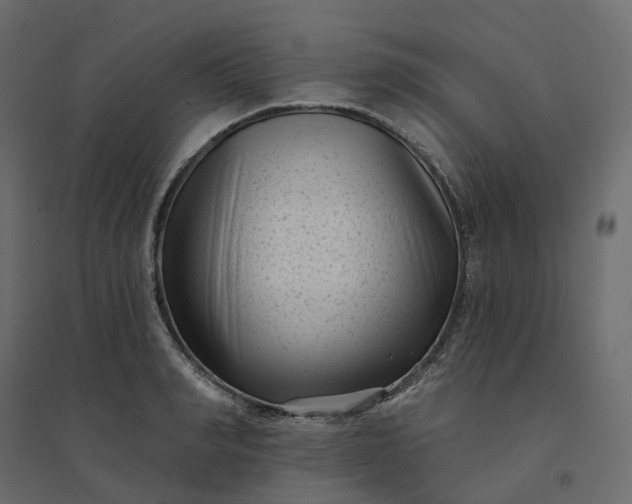 X0000094420990200711211406
