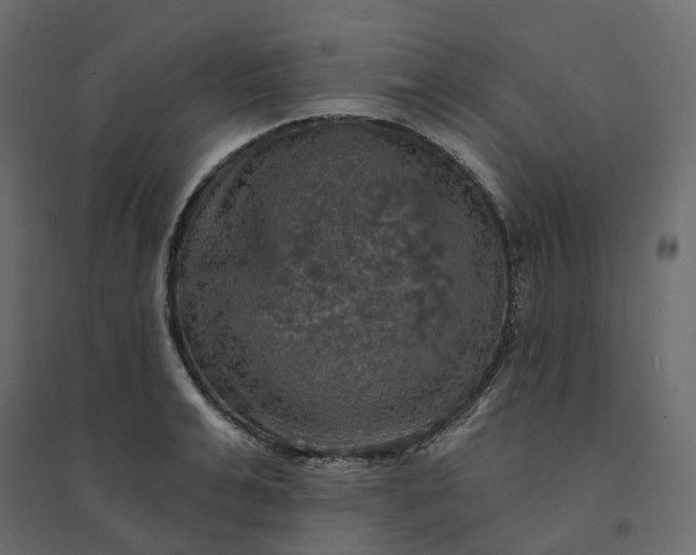 X0000094420991200711211406