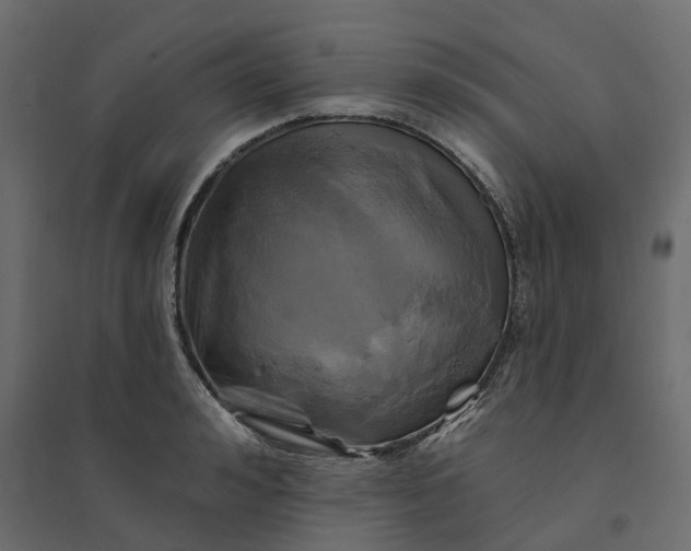 X0000094420992200711211406