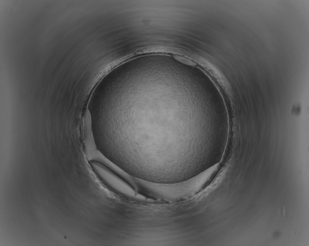 X0000094420993200711211406