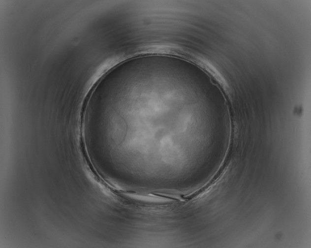 X0000094420994200711211406